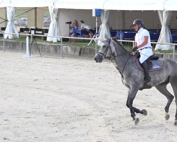 Pferdesporttage Galgenen 2018
