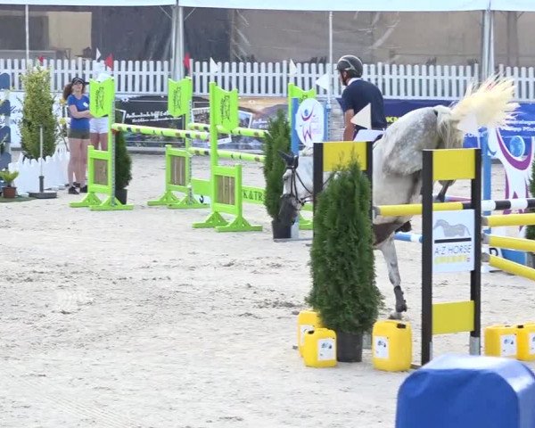 Pferdesporttage Galgenen 2018