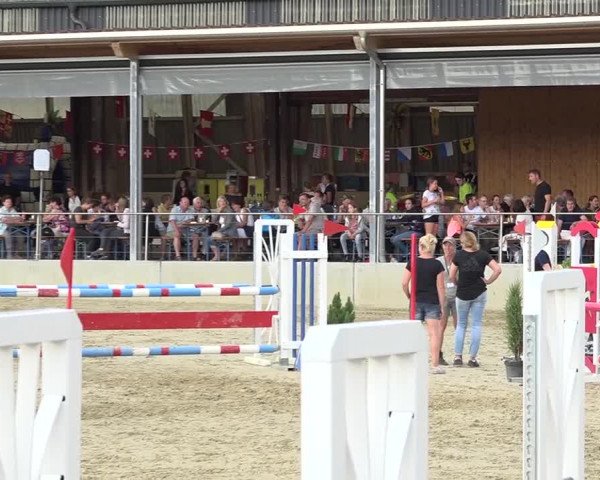 Schwyzer Pferdesporttage 2018