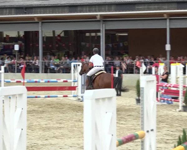 Schwyzer Pferdesporttage 2018