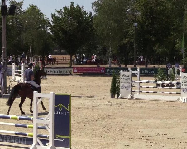 Reitturnier Olfen-Vinnum 2018