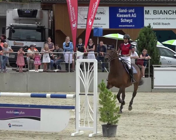 Schwyzer Pferdesporttage 2018
