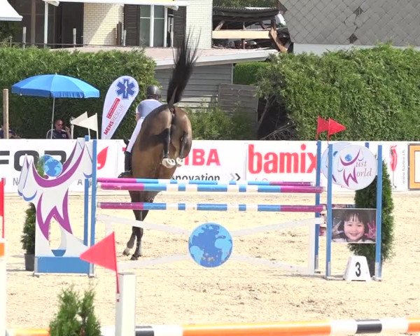 Pferdesporttage Galgenen 2018