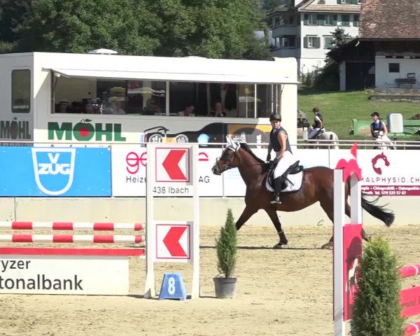 Schwyzer Pferdesporttage 2018