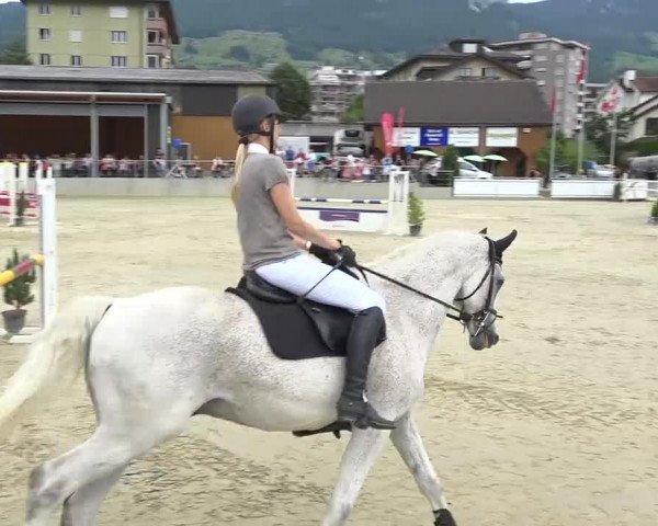 Schwyzer Pferdesporttage 2018