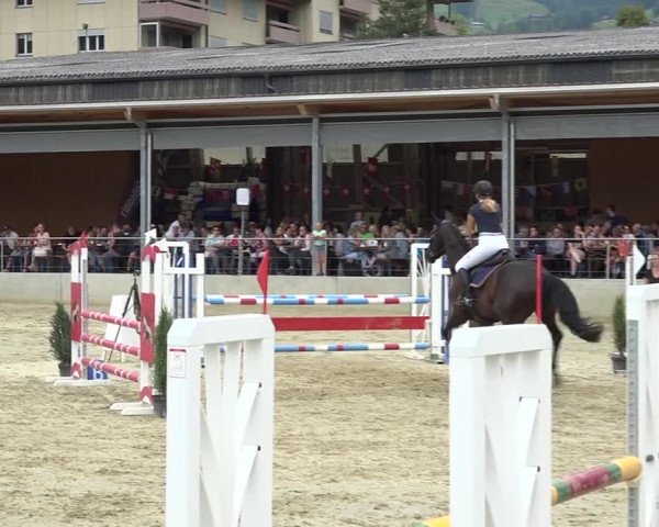Schwyzer Pferdesporttage 2018
