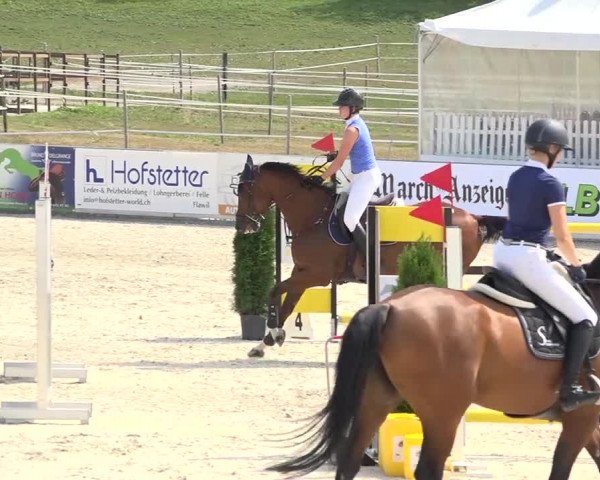 Pferdesporttage Galgenen 2018