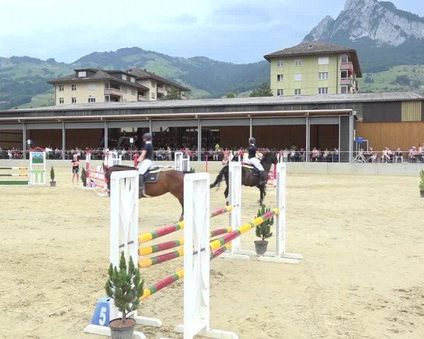 Schwyzer Pferdesporttage 2018