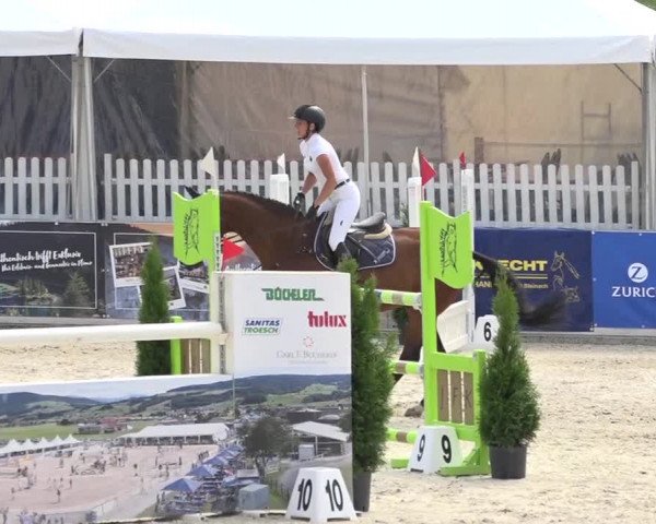 Pferdesporttage Galgenen 2018