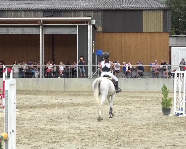 Schwyzer Pferdesporttage 2018