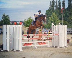 jumper Loverboy 35 (Oldenburg show jumper, 2011, from Lordanos)