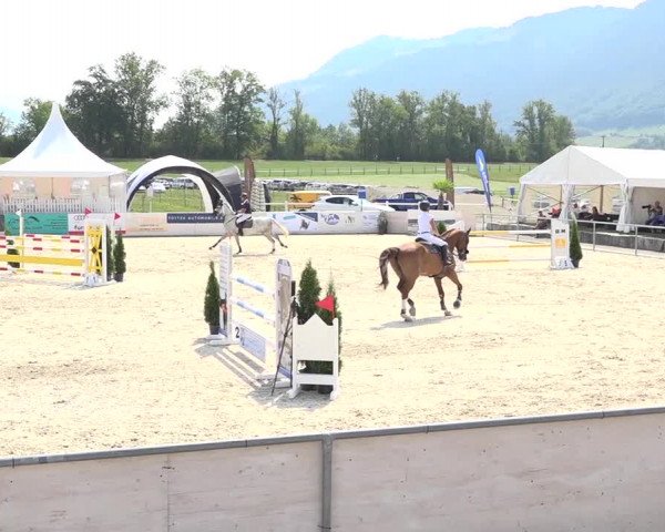 Pferdesporttage Galgenen 2018