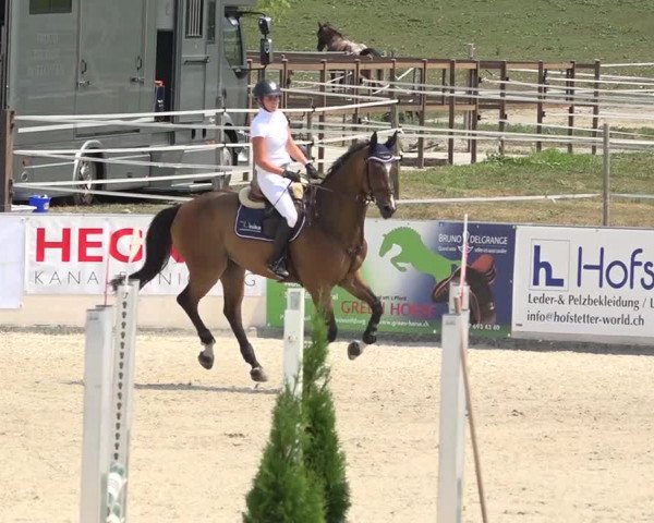 Pferdesporttage Galgenen 2018