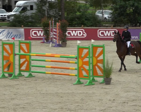 Reitturnier Westergellersen 2021