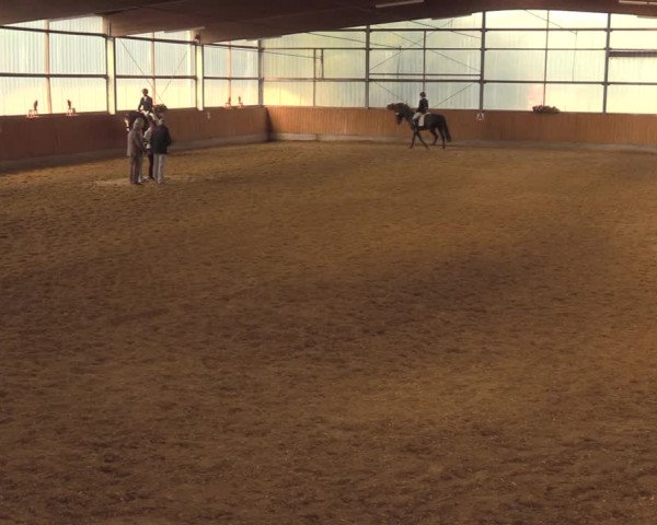 Reitturnier Herbern 2018