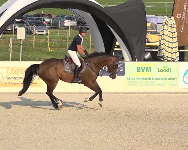 Pferdesporttage Galgenen 2018