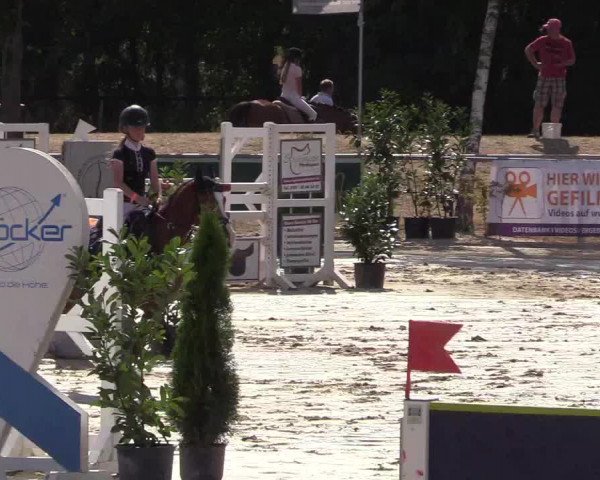 Reitturnier Olfen-Vinnum 2018