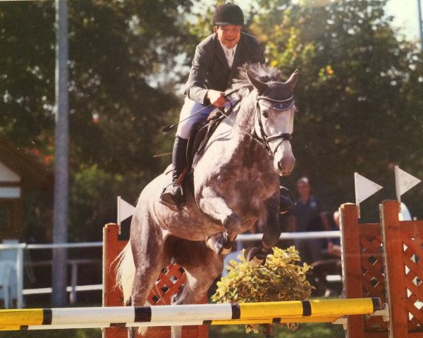 Springpferd Smilla F (Hannoveraner, 2008, von Salito)