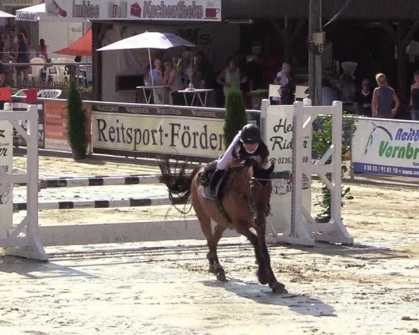 Reitturnier Olfen-Vinnum 2018
