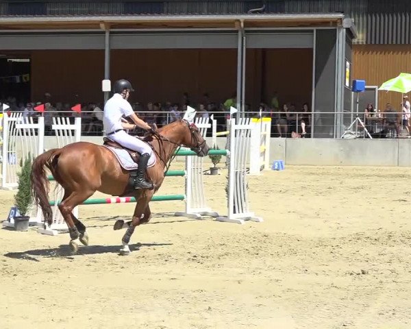 Schwyzer Pferdesporttage 2018