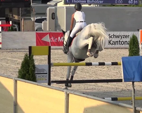 Pferdesporttage Galgenen 2018