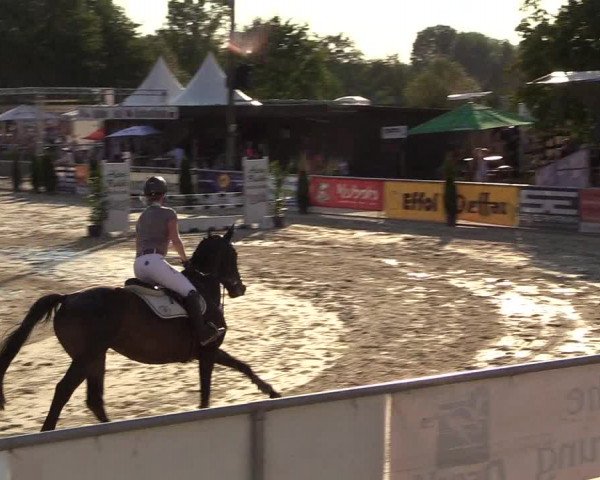 Reitturnier Olfen-Vinnum 2018