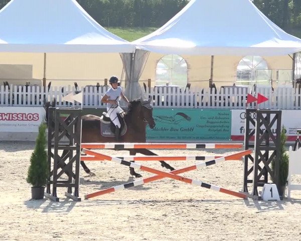Pferdesporttage Galgenen 2018