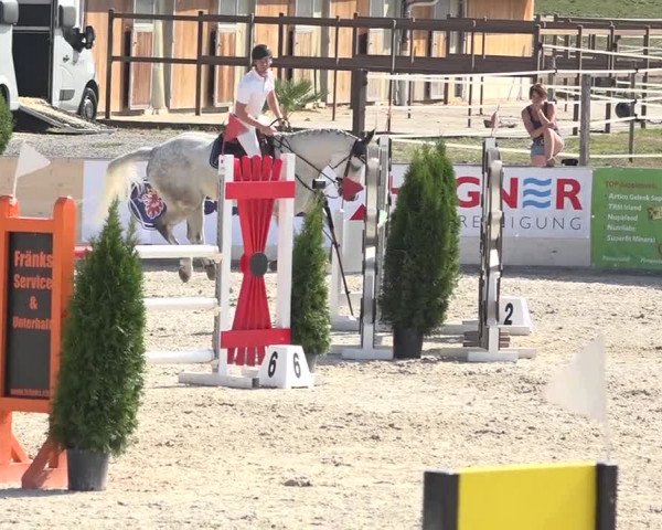 Pferdesporttage Galgenen 2018