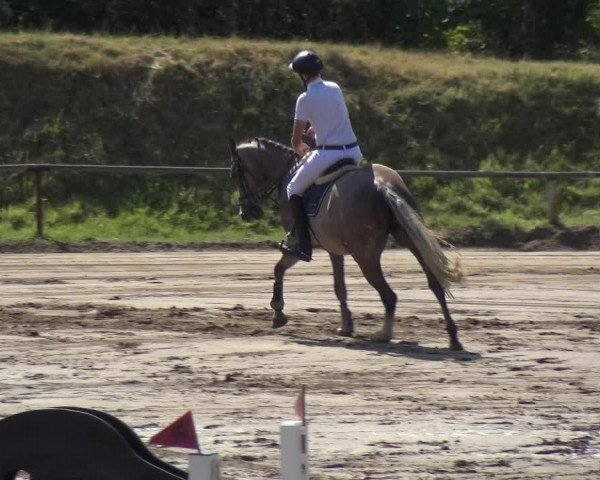 Reitturnier Neuss-Uedesheim 2018