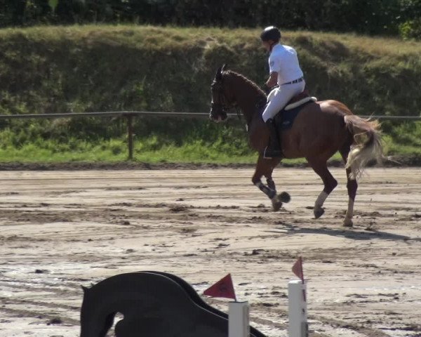 Reitturnier Neuss-Uedesheim 2018