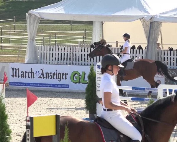 Pferdesporttage Galgenen 2018