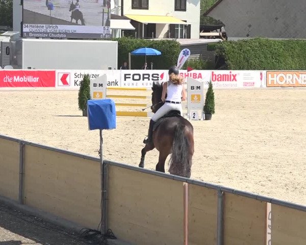 Pferdesporttage Galgenen 2018