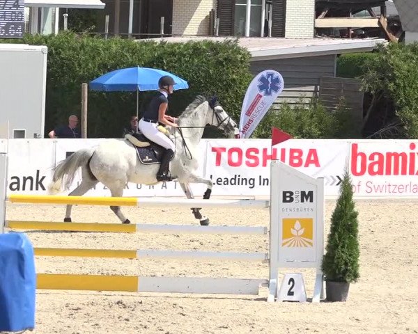 Pferdesporttage Galgenen 2018