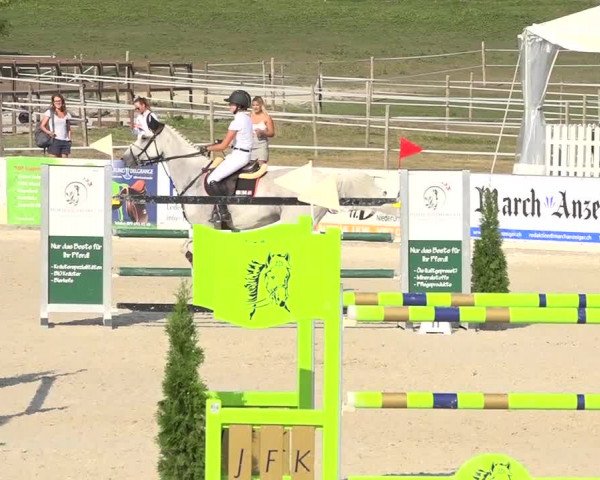 Pferdesporttage Galgenen 2018