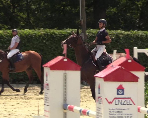 Reitturnier Olfen-Vinnum 2018
