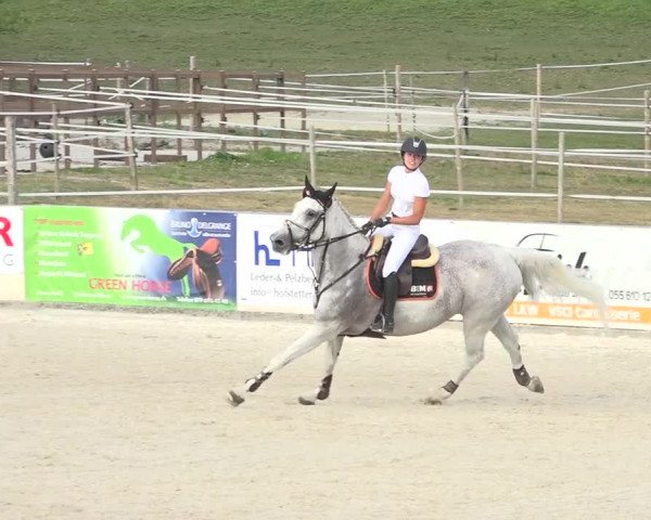 Pferdesporttage Galgenen 2018