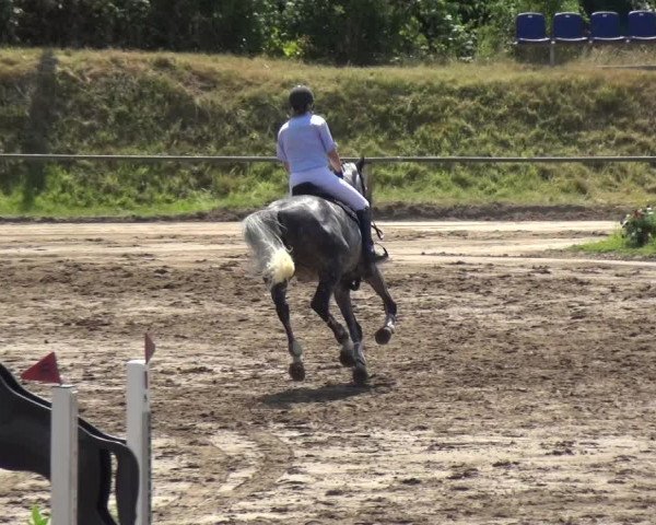 Reitturnier Neuss-Uedesheim 2018