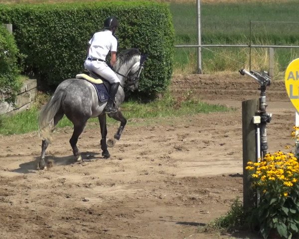 Reitturnier Neuss-Uedesheim 2018