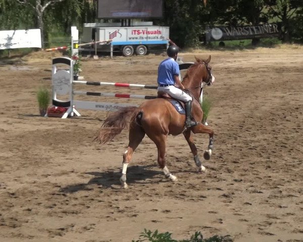 Reitturnier Neuss-Uedesheim 2018