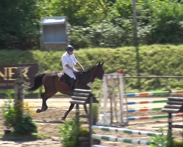 Reitturnier Neuss-Uedesheim 2018