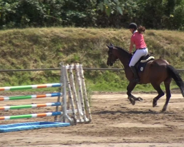 Reitturnier Neuss-Uedesheim 2018
