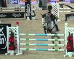 jumper Quino du Ry (Oldenburg show jumper, 2006, from Quidam de Revel)