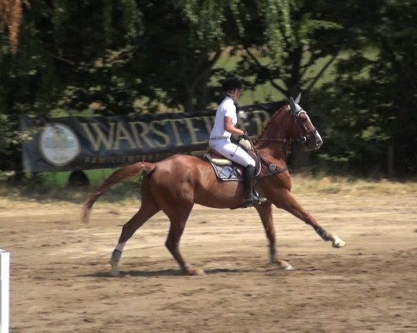 Reitturnier Neuss-Uedesheim 2018