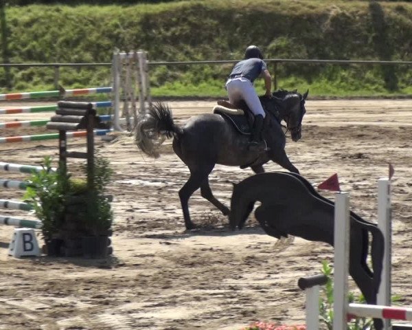 Reitturnier Neuss-Uedesheim 2018