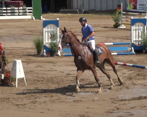 Reitturnier Neuss-Uedesheim 2018