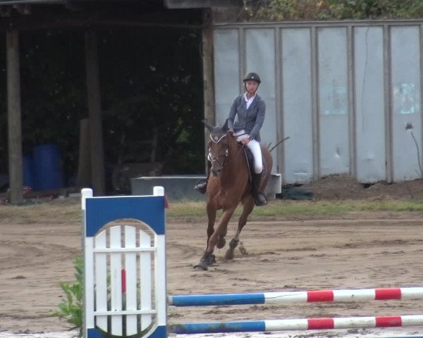 Reitturnier Neuss-Uedesheim 2018