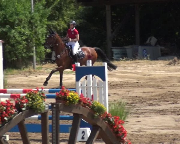 Reitturnier Neuss-Uedesheim 2018
