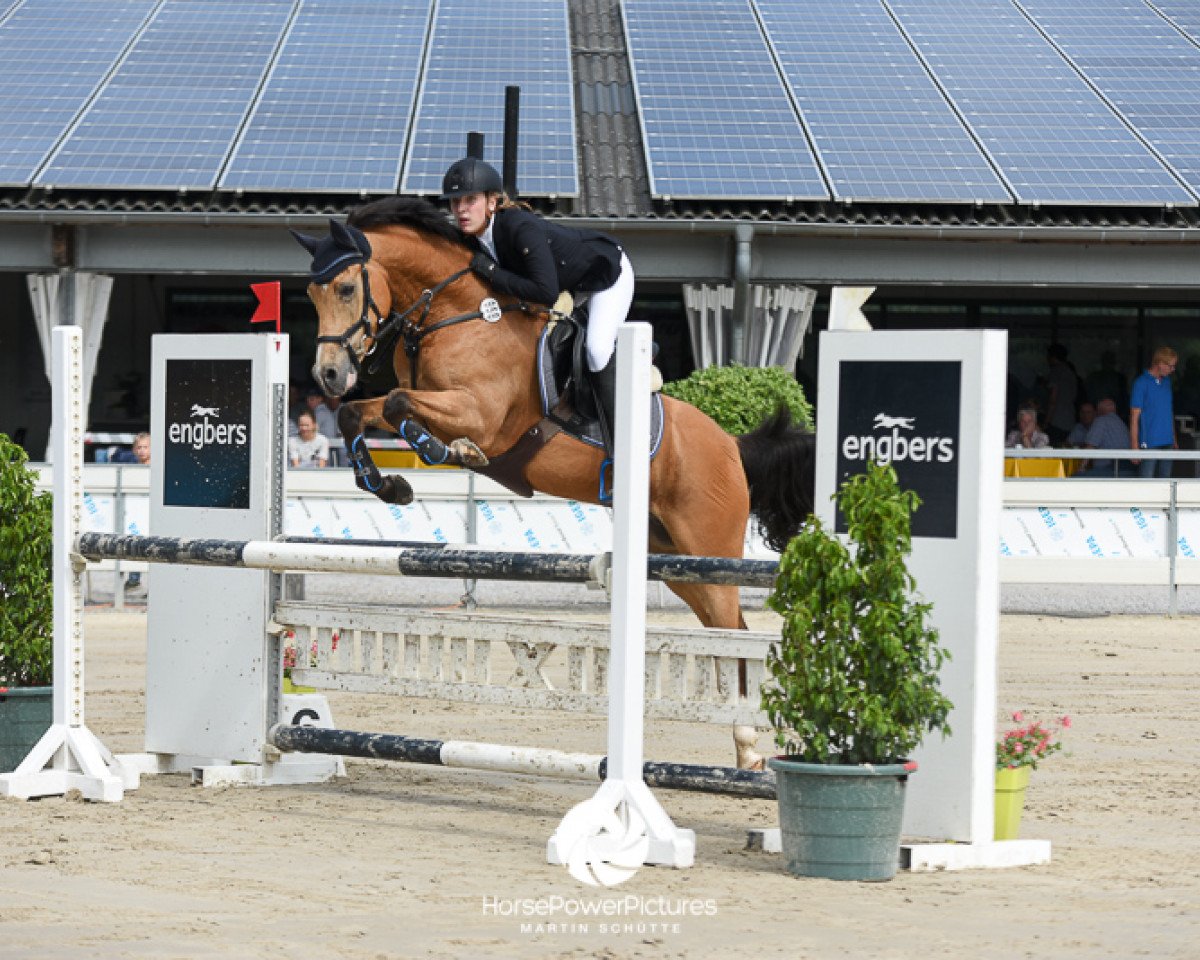 jumper Justin 127 (Nederlands Rijpaarden en Pony, 2004, from Kwaliteit)