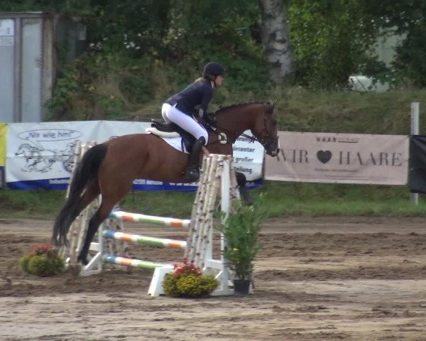 Reitturnier Neuss-Uedesheim 2018