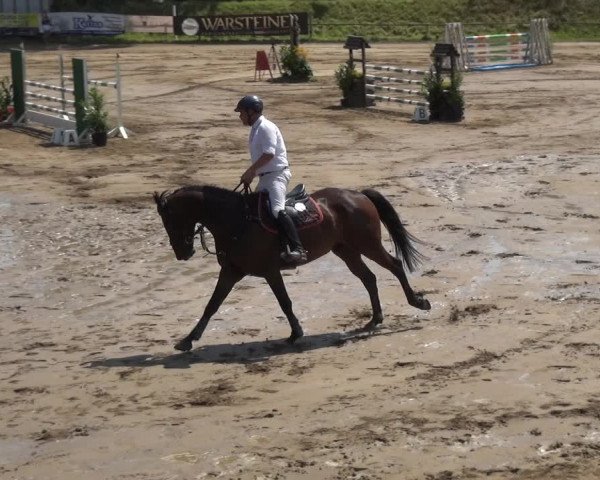 Reitturnier Neuss-Uedesheim 2018